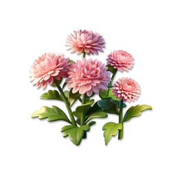Pink Pom Daisy