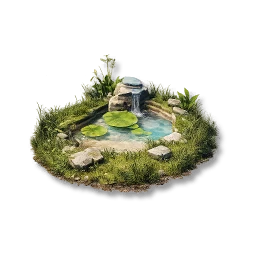 Pond