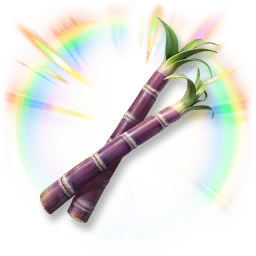 Huge Colorful Sugarcane