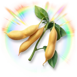 Huge Colorful Soybean