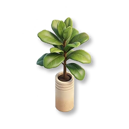 Forest Dawn - Potted Magnolia