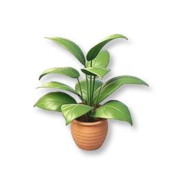 Peace Lily