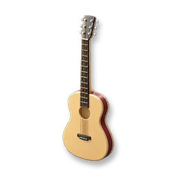 Acoustic Guitar