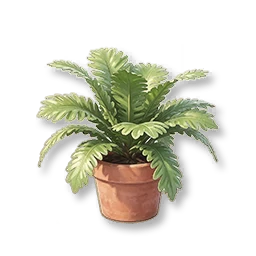 Potted Maidenhair Fern