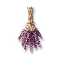 Dried Lavender Bouquet III