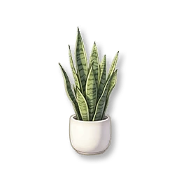 Potted Snake Plant