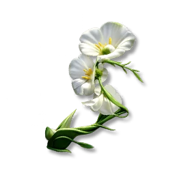Essence of Grass