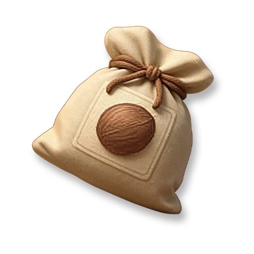 Coconut Tree Seed