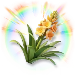 Bunte Agave