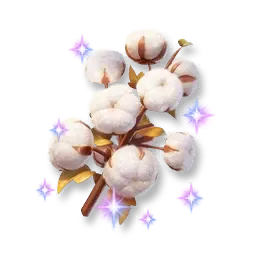 샤이닝 목화