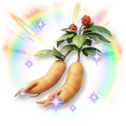 Ginseng étincelant coloré