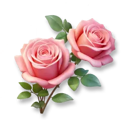 Riesige Rose