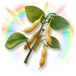 Germe de soja coloré