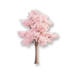 Arbre trompette blanc
