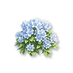 ดอกเอ็นด์เลสซัมเมอร์สีน้ำเงิน