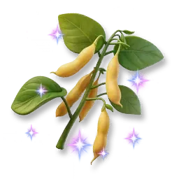 Germe de soja étincelant