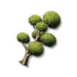 Arbres en pompon II