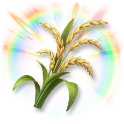 Riz étincelant