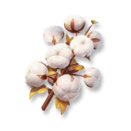Algodón