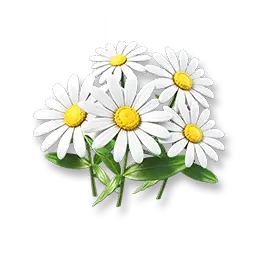 Daisy