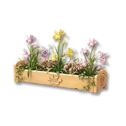 Iris en pot