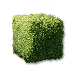 Arbustes cubiques