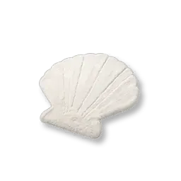 조개껍질 러그