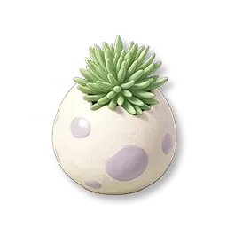 Pot Sukulen Pomegg III