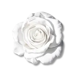 Essence de lumière