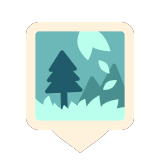 Taiga