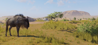 Fierté de la savane