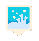 Reef