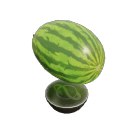 Melon Feeder