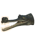 Gharial
