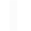 市政廳與圖書館