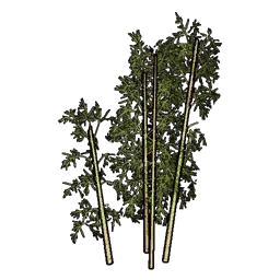 Arbre décoratif bambou B