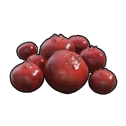 紅色莓果