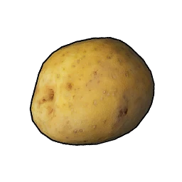 Patata