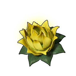 Búp Sen Thể Lực (S)