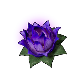 Carrying Lotus (S)