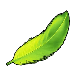 Pluma de Tocotoco