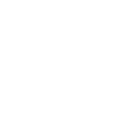 SHROOM GRAVE