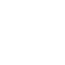 SPARE BULLETS