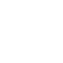 LAST BASTION