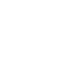 Bike Horn