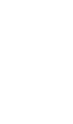 Shooting Star Flag
