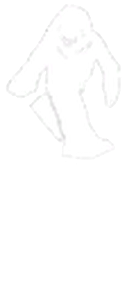 Sasquatch Antenna