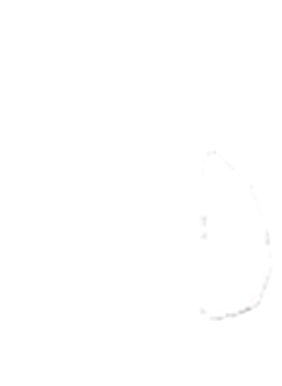 Star Puppy Plushie