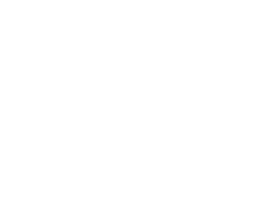 Cattle Skull