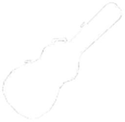 Guitar Case